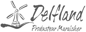 Logo Delfland Gris  - OnInc